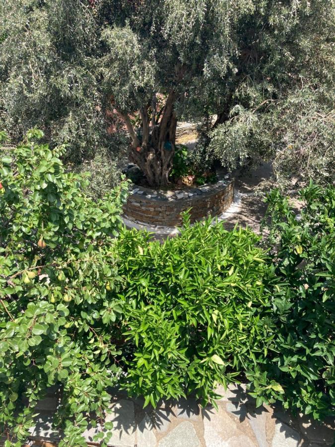 Agkyra Rooms Aladhinon Esterno foto